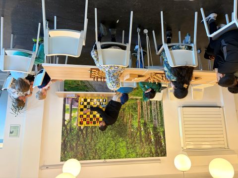 IMG 2723 2